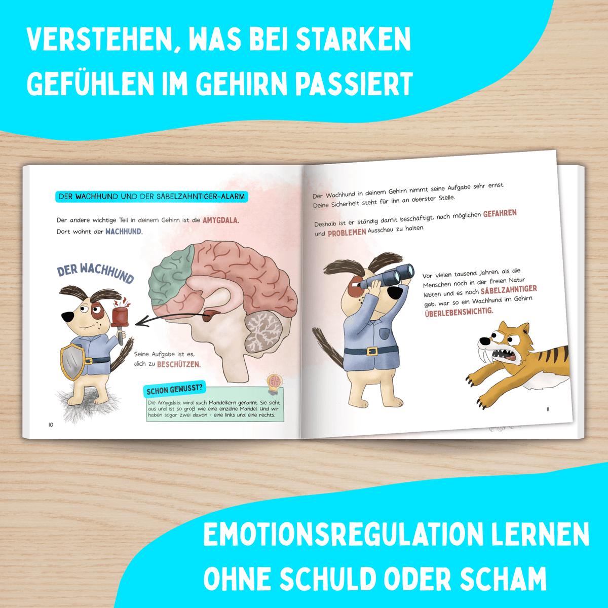 Buch „Alarm im Kopf“